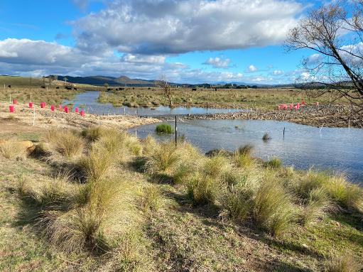 In-stream works at Carwoola complete
